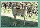 one of our neighbors